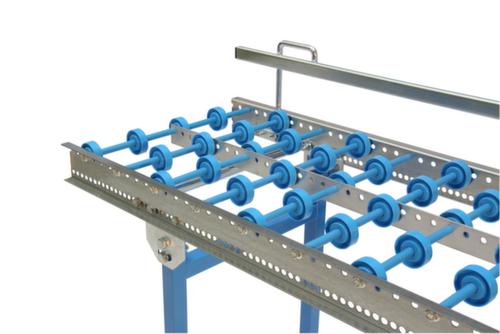 Blume Förderanlagen Guida laterale per rulliera