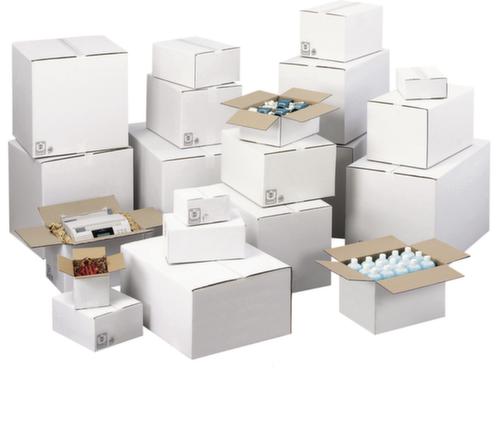 Scatola pieghevole in cartone ondulato bianco con capacità di carico di 20 kg