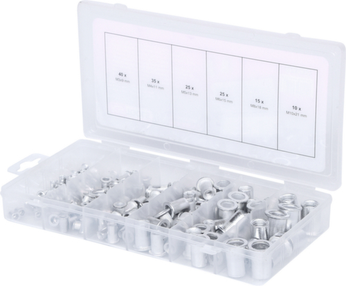 Assortimento di rivetti filettati