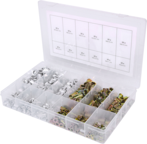 Assortimento di rivetti filettati