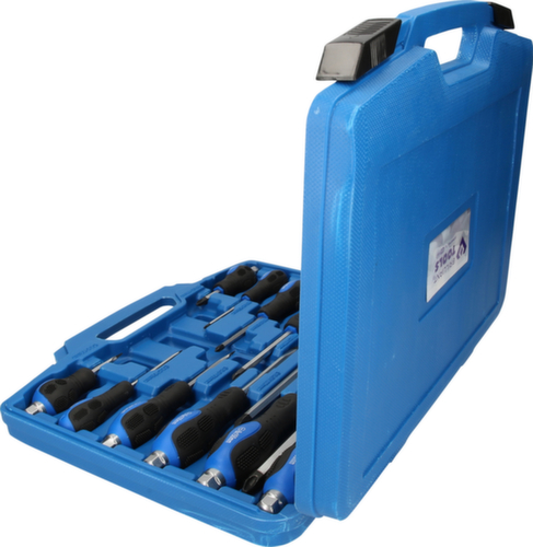 Set di cacciaviti con tappo di riscontro