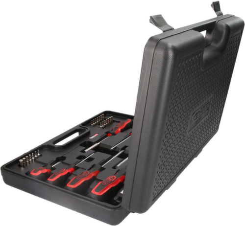 Set di cacciaviti e bit ERGOTORQUEplus