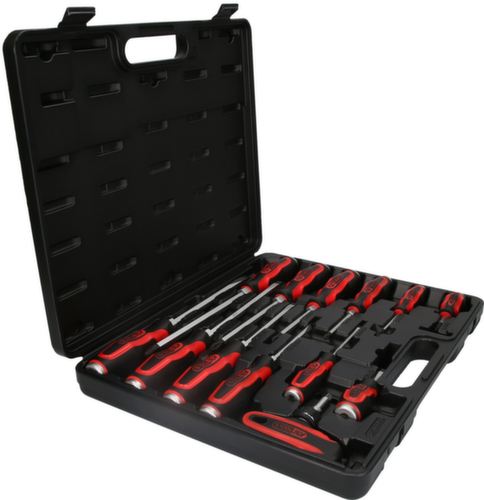 Set di cacciaviti a percussione ERGOTORQUE®max