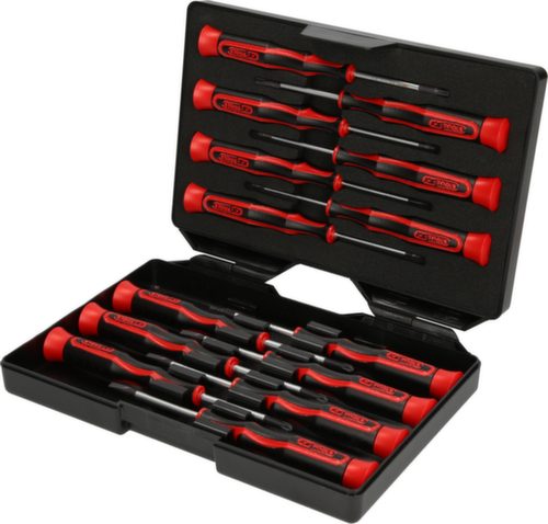 Set di cacciaviti meccanici di precisione PH