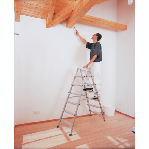 Stepladders with steps