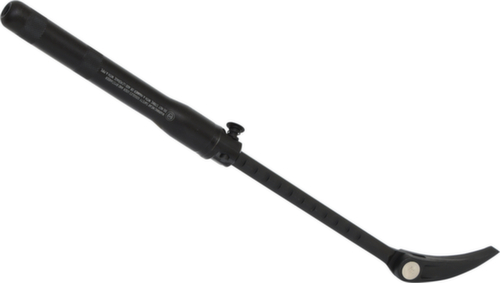 Ferro da stiro telescopico articolato a testa rotante