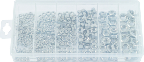 Assortimento di dadi in acciaio inossidabile