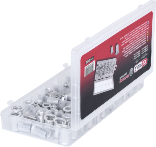 Assortimento di rivetti filettati