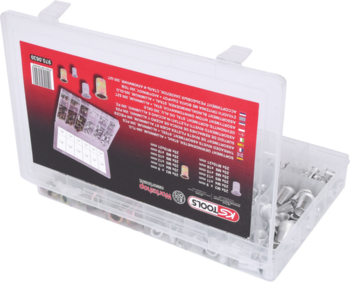 Assortimento di rivetti filettati