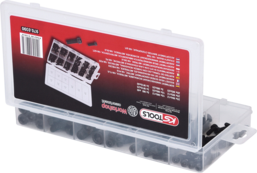 Assortimento di viti ad esagono cavo