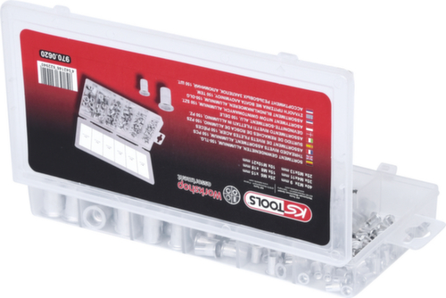 Assortimento di rivetti filettati