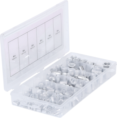 Assortimento di rivetti filettati