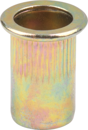 Assortimento di rivetti filettati