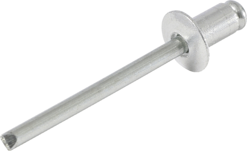 Assortimento di rivetti ciechi