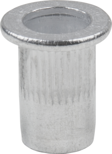 Assortimento di rivetti filettati