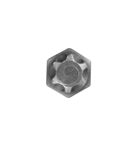 R62451819 Punta per cacciavite 1/2" TX T40 Lunghezza 100 mm