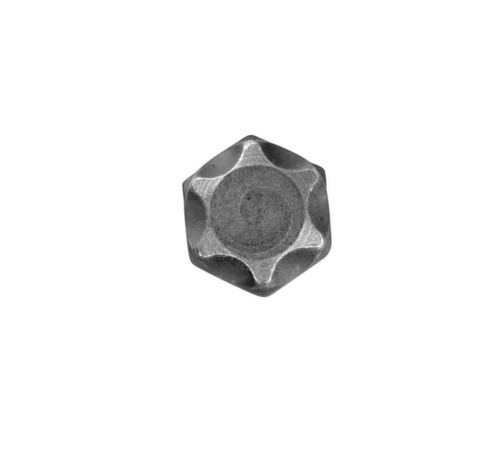 R62451919 Punta per cacciavite 1/2" TX T45 Lunghezza 100 mm