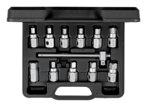 R15553004 Set di chiavi di servizio per olio con impugnatura a Q 3/8" 12 pezzi