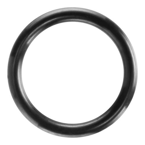 KB 2170 Anello di sicurezza Ø 45 mm