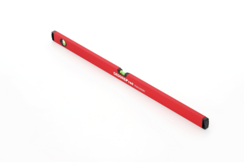 R94100087 Livella a bolla d'aria 1000mm 2x fiala alluminio