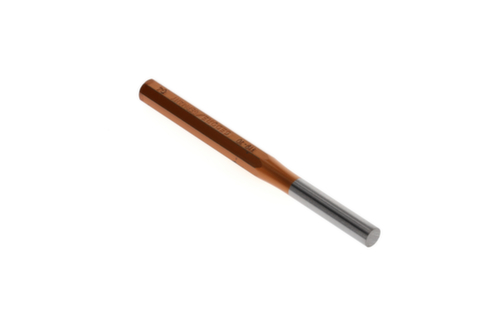 119-10 Punzone da 10 mm