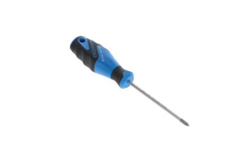 2160 PH 1-100 3C Cacciavite