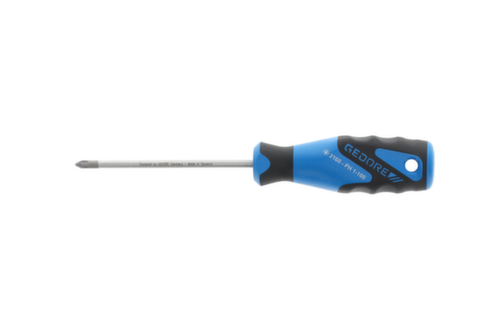 2160 PH 1-100 3C Cacciavite