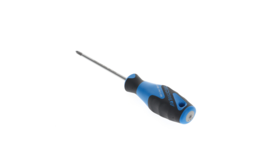 2160 PH 1-100 3C Cacciavite