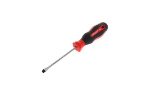 R38105519 Cacciavite a taglio 2C 5,5 mm 1x100 mm