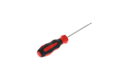 R38105519 Cacciavite a taglio 2C 5,5 mm 1x100 mm