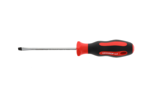 R38105519 Cacciavite a taglio 2C 5,5 mm 1x100 mm