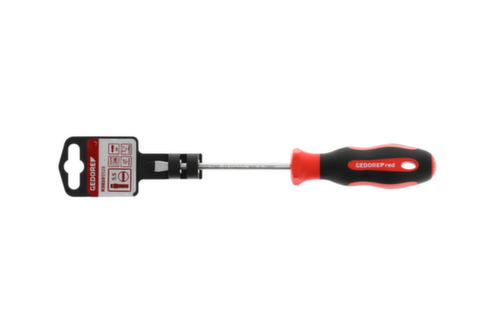 R38105519 Cacciavite a taglio 2C 5,5 mm 1x100 mm