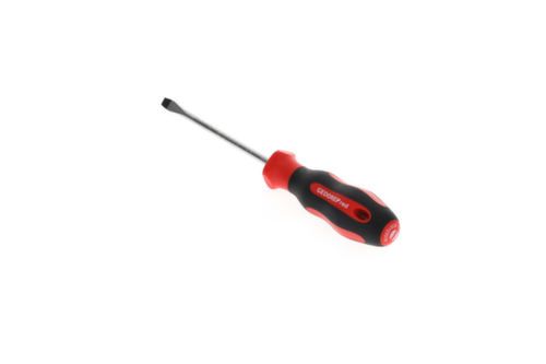 R38105519 Cacciavite a taglio 2C 5,5 mm 1x100 mm