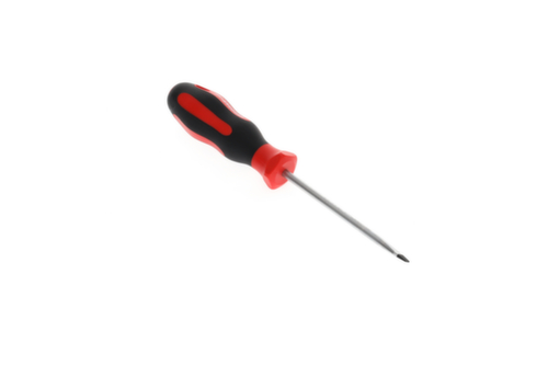 R38105519 Cacciavite a taglio 2C 5,5 mm 1x100 mm