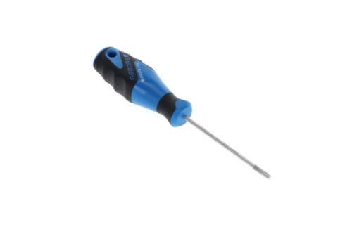 2163 TX T15 Cacciavite 3C TX T15