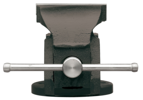 GEDORE RED R93800125 Morsa larghezza ganasce 125mm rigida 17kg