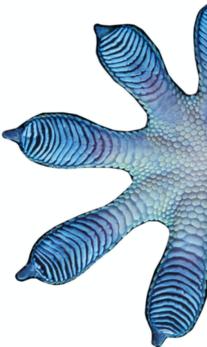 1500 H 13 Tappeto antiscivolo