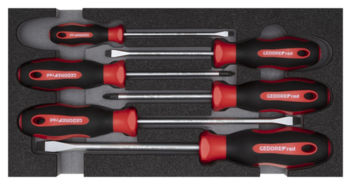 R22150014 Set di cacciaviti PZ+SL 2/6 modulo CT 6 pezzi