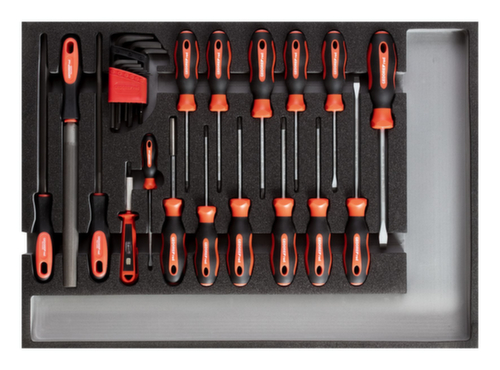 R22350002 Set di utensili cacciavite + lime CT modulo 26 pezzi