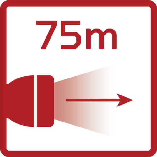 R95300139 Lampada a spillo