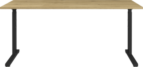 Scrivania regolabile in altezza GW-PROFI 2.0