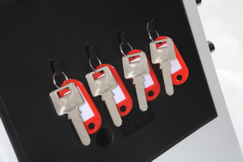 Phoenix Safe Armadio di protezione antincendio Datacare