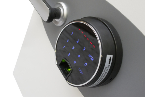 Phoenix Safe Armadio di protezione antincendio Datacare