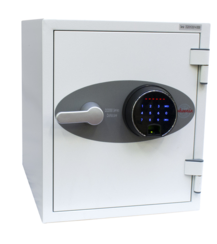 Phoenix Safe Armadio di protezione antincendio Datacare