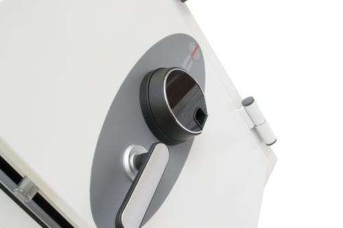 Phoenix Safe Armadio di protezione antincendio Datacare
