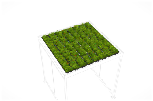 WSM Inverdimento del tetto GreenPlus Premium
