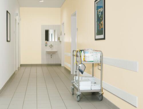 Moravia Protezione antischegge MORION