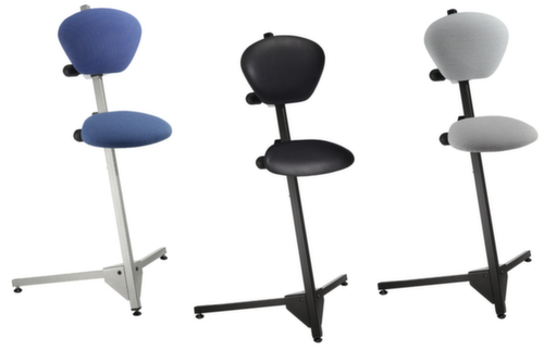 Kappes Ausilio per la posizione in piedi ErgoPlus 3000 con schienale