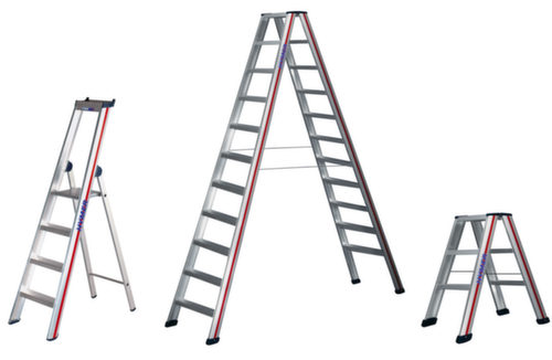 Hymer Scaletta industriale