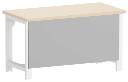 bott Pannello posteriore per banco da lavoro di sistema